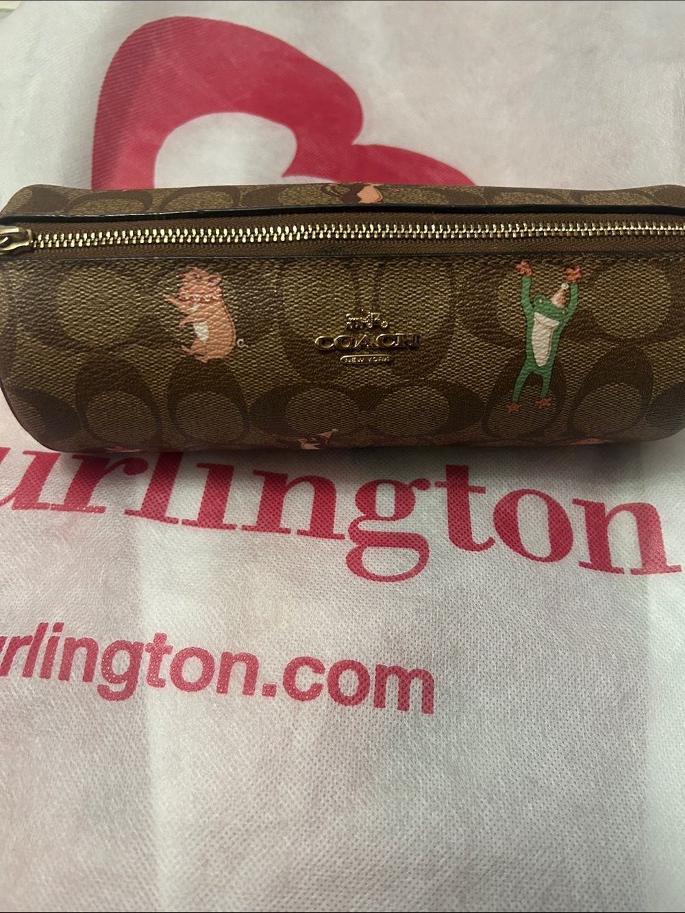COACH Brown Signature Canvas Zip Pouch with Playful Print